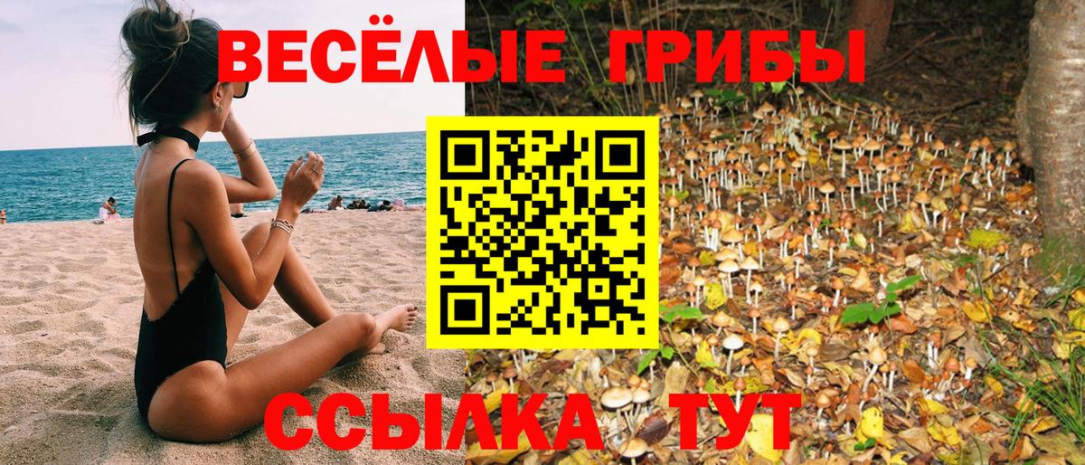 Копейск  Псилоцибиновые грибы Psilocybine cubensis  Вход с VPN 